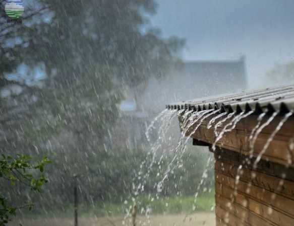 Tips Agar Tetap Sehat di Musim Penghujan